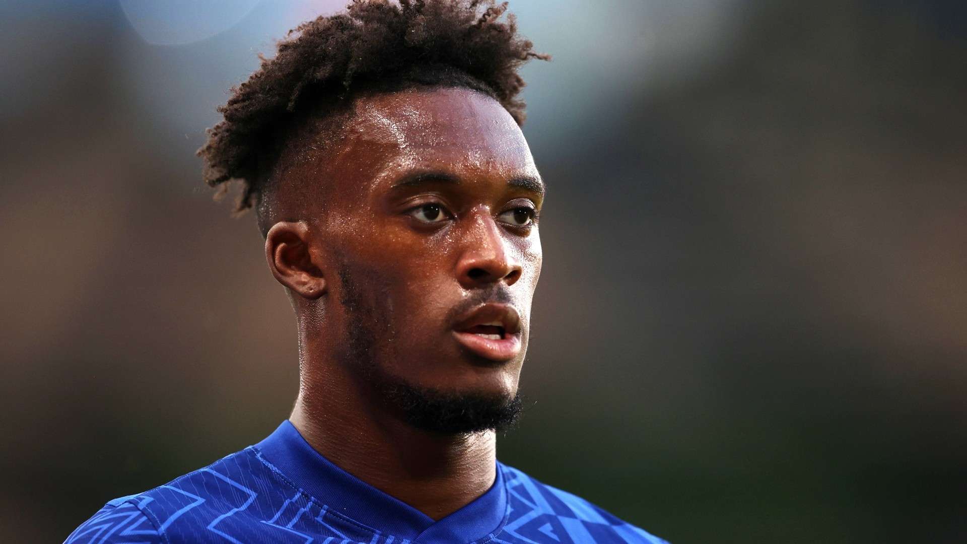 作为中国羽 作为中国羽